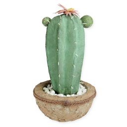 Cactus Decor | Bed Bath & Beyond