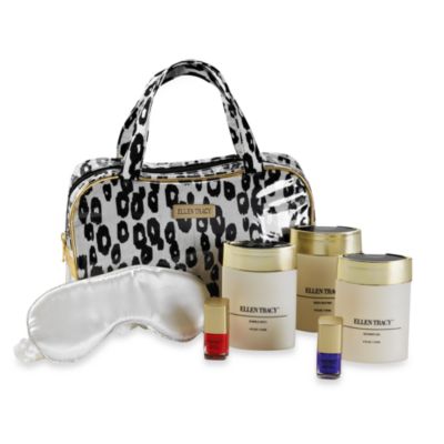 ellen tracy luggage set