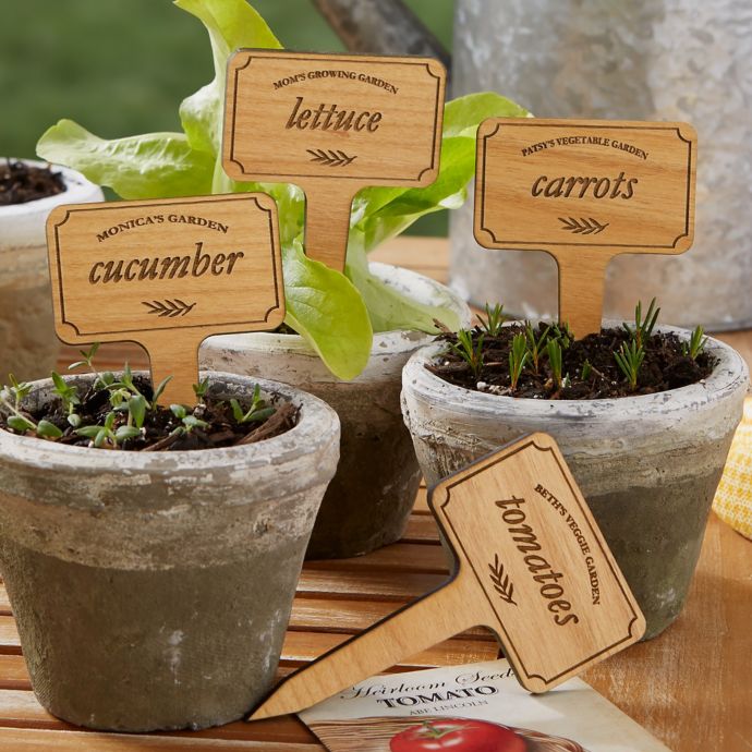 Vegetable Garden Personalized Wood Plant Marker Set Bed Bath and