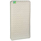 Alternate image 0 for Sealy&reg; Signature Prestige Posture Crib and Toddler Mattress in Green Avalon