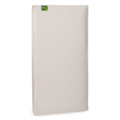 sealy soybean everedge crib mattress