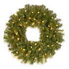 Alternate image 0 for National Tree Company Pre-Lit Norwood Fir Wreath with Battery Operated Warm White LED Lights