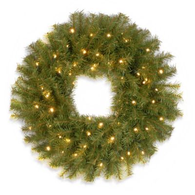 National Tree Company 24-Inch Pre-Lit Norwood Fir Wreath with Battery Operated Warm White LED Lights