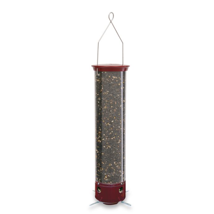Droll Yankees Yankee Dipper Bird Feeder Bed Bath Beyond