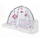 Alternate image 0 for BABY CARE&trade; Cat Activity Gym in Blue