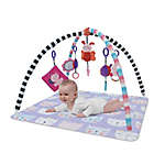 Alternate image 3 for BABY CARE&trade; Cat Activity Gym in Blue