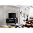 Alternate image 1 for Manhattan Comfort Liberty 42.5-Inch TV Stand in Black