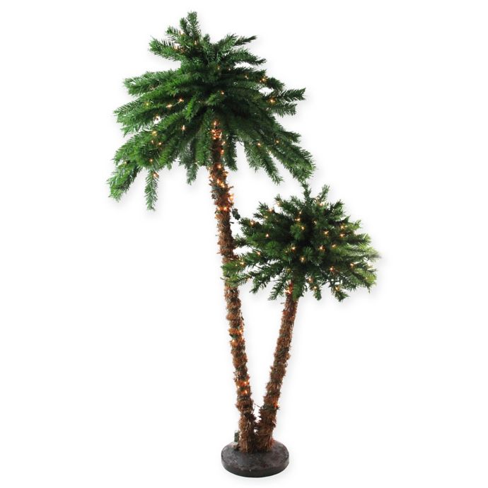 6ft palm tree outdoor