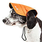 Alternate image 0 for Cap-Tivating Medium Fashion Dog Hat in Orange
