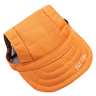 Cap-Tivating Medium Fashion Dog Hat in Orange. View a larger version of this product image.