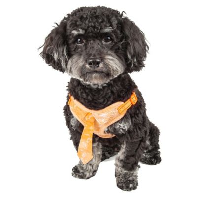 pet life harness