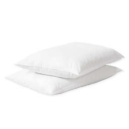 Millano CoolMAX 2-Pack Queen Pillows in White