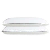 Millano SilverClear 2-Pack Pillows in White