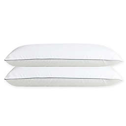 Millano SilverClear 2-Pack Queen Pillows in White