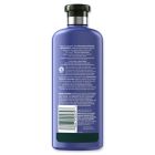 Alternate image 1 for Herbal Essences 13.5 fl. oz. Bio:Renew Refresh Blue Ginger Conditioner