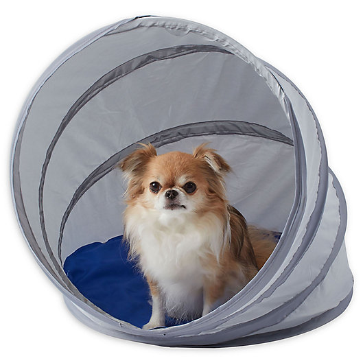 Alternate image 1 for Pawslife® Small Cool Pod Portable Pet Shelter