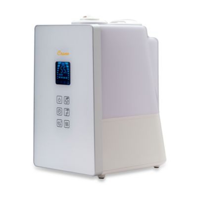 warm and cool mist humidifier