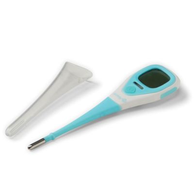 Safety 1st&reg; 2-in-1 Quick Read Thermometer in Arctic Blue