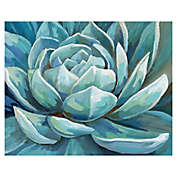 Masterpiece Art Gallery Cerulean Succulent 20-Inch x 16-Inch Canvas Wall Art
