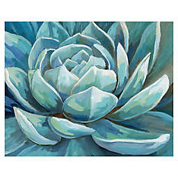 Masterpiece Art Gallery Cerulean Succulent 20-Inch x 16-Inch Canvas Wall Art