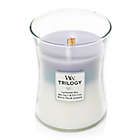 Alternate image 0 for WoodWick&reg; Trilogy Lavender Spa, Seal Salt & Cotton and White Tea & Jasmine Jar Candle