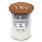 Alternate image 1 for WoodWick&reg; Trilogy Lavender Spa, Seal Salt & Cotton and White Tea & Jasmine Jar Candle
