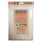 Alternate image 1 for Natural Home Brands& reg; Compostable Straws in Frost (Pack of 100)