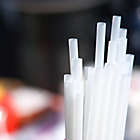 Alternate image 2 for Natural Home Brands& reg; Compostable Straws in Frost (Pack of 100)