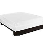 Alternate image 1 for Everfresh Queen Mattress Protector in White