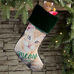 Woof & Meow Personalized Pet Photo Christmas Stocking in Green