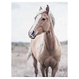Western Blonde Horse 18-Inch x 24-Inch Wrapped Canvas Wall Art