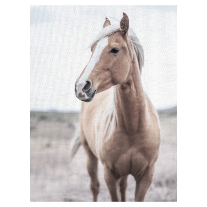 Western Blonde Horse Wrapped Canvas Wall Art Bed Bath Beyond