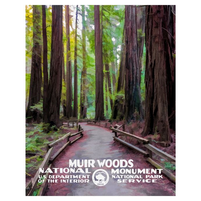 Masterpiece Art Gallery Muir Woods Canvas Wall Art Bed Bath Beyond