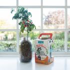 Alternate image 6 for Back to the Roots Self-Watering Tomato Plant Kit