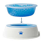 Alternate image 1 for Pawslife&reg; Cooling Pet Water Bowl in White/Blue