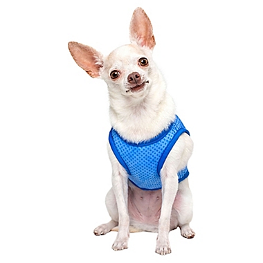 Pawslife&reg; XSmall Cooling Vest in Blue. View a larger version of this product image.