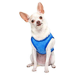 Pawslife® XSmall Cooling Vest in Blue