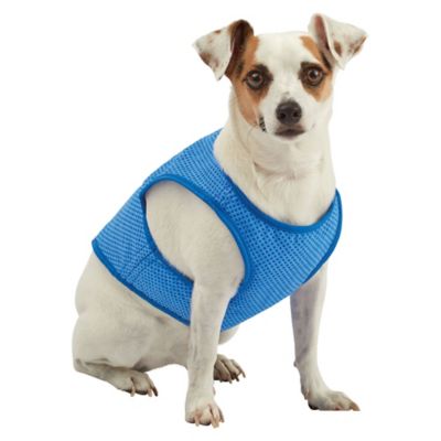 Pawslife&reg; Cooling Vest in Blue