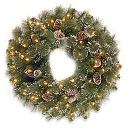 National Tree Company Glittery Pine 24-Inch Wreath Pre-lit with 50 Clear Lights