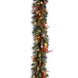 National Tree Company 9 Feet x 10 Inches Classical Collection Pre-Lit Garland with 50 Clear Lights
