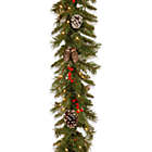 Alternate image 0 for National Tree Company 9-Foot x 10-Inch Frosted Berry Garland Pre-Lit with 100 Clear Lights