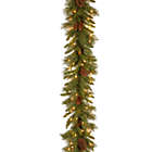 Alternate image 0 for National Tree Company 9-Foot Pine Cone Pre-Lit Garland with Clear Lights