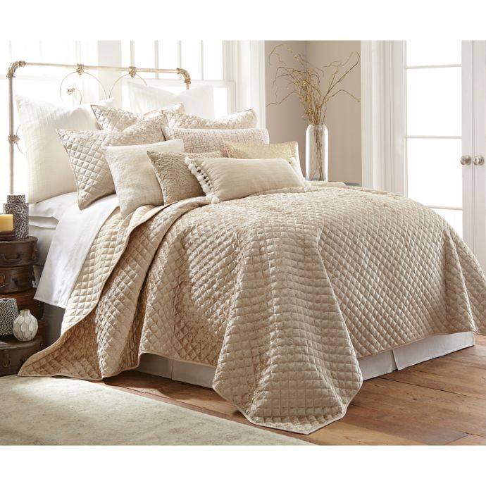 Levtex Home Champagne Velvet Quilt Set Bed Bath Beyond