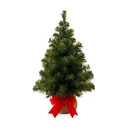National Tree Company 2-Foot Noble Spruce Christmas Tree with Burlap Bag