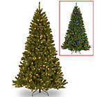 Alternate image 2 for National Tree Company 7-Foot 6-Inch North Valley Spruce Hinged Christmas Tree with Dual-Color LEDs