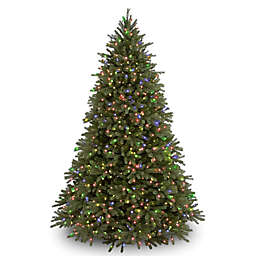 National Tree Company 7.5-Foot Pre-Lit Jersey Fraser Fir Christmas Tree with Multicolor Lights