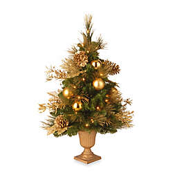 National Tree Company Elegance 3-Foot Pre-Lit Entrance Tree with Clear Lights
