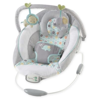 fisher price owl love you deluxe bouncer