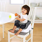 Alternate image 1 for Ingenuity&trade; SmartClean Toddler Booster in Slate