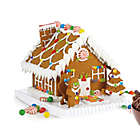 Alternate image 1 for Gingerbread House Kit